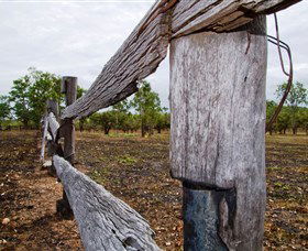 Oyala Thumotang National Park (CYPAL) - Melbourne Tourism 1
