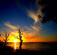 Lake Cowal - Melbourne Tourism