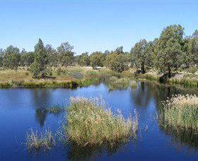 Narrandera Wetlands - Melbourne Tourism 0