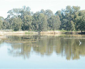 Narrandera Wetlands - Melbourne Tourism 1