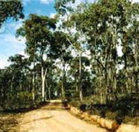 Paddys Ranges State Park - Melbourne Tourism