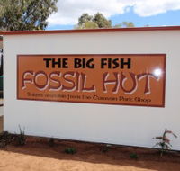 Big Fish Fossil Hut at Peak Hill - Melbourne Tourism