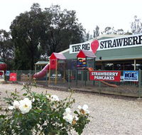 The Big Strawberry - Melbourne Tourism