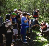 Warrumbungle National Park Discovery Program - Melbourne Tourism