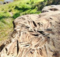 Terramungamine Rock Grooves - Melbourne Tourism