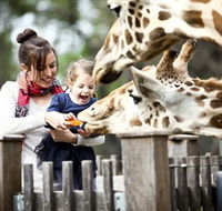 Taronga Western Plains Zoo Dubbo - Melbourne Tourism