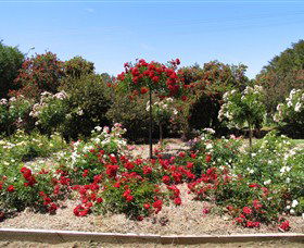 Barooga Botanical Gardens - Melbourne Tourism 2