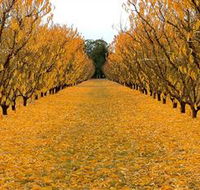 Sun Country on the Murray Farm Gate Trail - Melbourne Tourism
