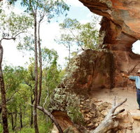 Pilliga National Park - Melbourne Tourism