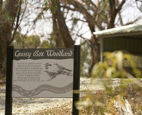 Coolamon NSW Melbourne Tourism