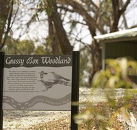 Kindra Forest - Melbourne Tourism