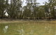 Kindra Forest - thumb 1
