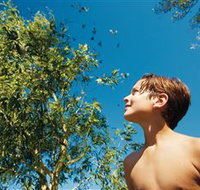 Birdwatching on Keswick Island - Melbourne Tourism