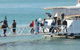 Keswick Island Jetty - thumb 0