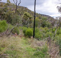 Lynchs loop trail - Melbourne Tourism