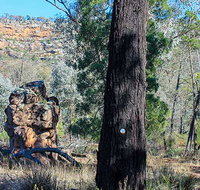 Eualdrie walking track - Melbourne Tourism