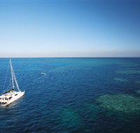 Bait Reef and Garys Lagoon Dive Site - Melbourne Tourism