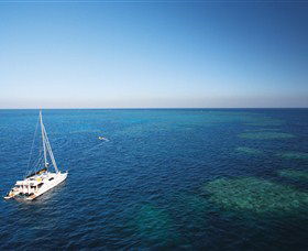 Bait Reef And Garys Lagoon Dive Site - Melbourne Tourism 0