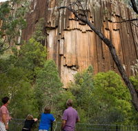 Sawn Rocks walking track - Melbourne Tourism