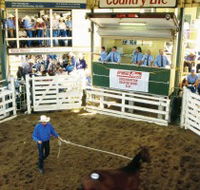 Gracemere Exhibition Complex - Melbourne Tourism