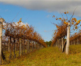 Charles Sturt University Winery Wagga Wagga - Melbourne Tourism 3