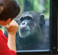 The Rockhampton Zoo - Melbourne Tourism