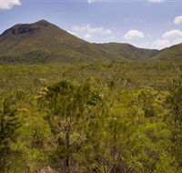 Kutini-Payamu Iron Range National Park CYPAL - Melbourne Tourism