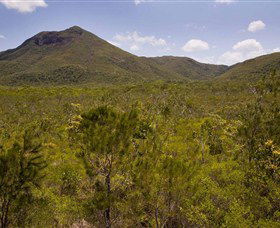 Kutini-Payamu (Iron Range) National Park (CYPAL) - Melbourne Tourism 0