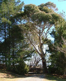 Habitat Vineyard - Melbourne Tourism 1