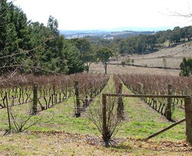 Habitat Vineyard - Melbourne Tourism 0