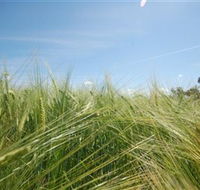 150 Degrees East Meridian - Melbourne Tourism
