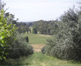 Samaria Farm - Melbourne Tourism 7