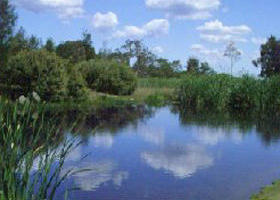Yan Yean Reservoir Park - Melbourne Tourism 0