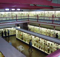 National Museum of Australian Pottery - Melbourne Tourism