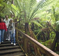 Otway Fly Treetop Adventures - Melbourne Tourism