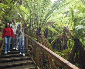 Otway Fly Treetop Adventures - Melbourne Tourism 0