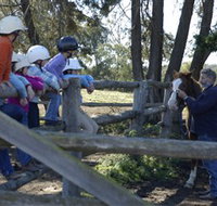 Harlow Park Horse Riding - Melbourne Tourism