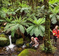 Baw Baw National Park - Melbourne Tourism