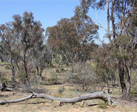 Remembrance Nature Park - Melbourne Tourism 0