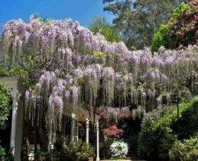 Mount Wilson NSW Melbourne Tourism