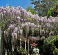 Nooroo Gardens - Melbourne Tourism