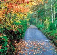 Mount Wilson and Mount Irvine - Melbourne Tourism