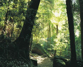 Blue Mountains National Park - Melbourne Tourism 5