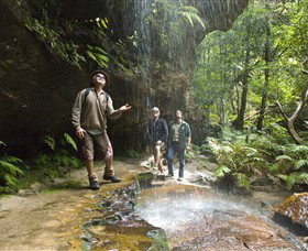 Blue Mountains National Park - Melbourne Tourism 3