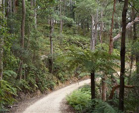 Blue Mountains National Park - Melbourne Tourism 8