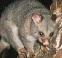 Moondarra State Park - Melbourne Tourism