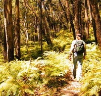 Federal Pass - Melbourne Tourism