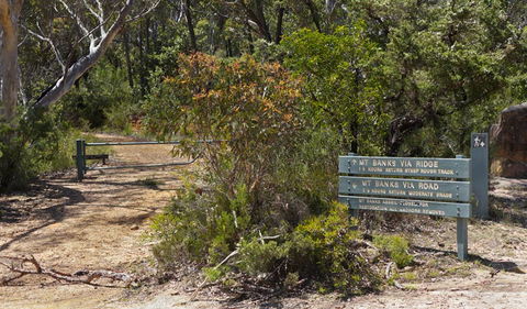Mount Banks Road Cycle Route - Melbourne Tourism 1