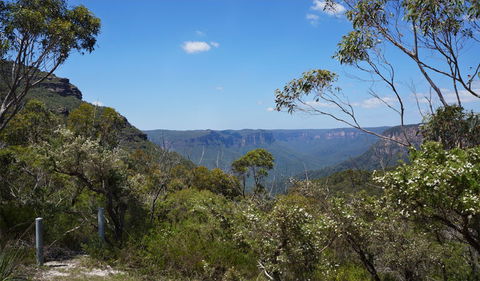 Mount Banks Road Cycle Route - Melbourne Tourism 2