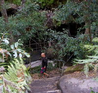Leura Cascades Fern Bower - Melbourne Tourism